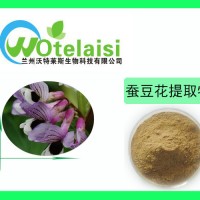 蚕豆花提取物 蚕豆提取物 胡豆提取物 蚕豆粉