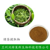 茶多酚98%  绿茶提取物 厂家供应