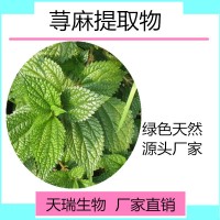 荨麻根提取物 荨麻根粉天瑞生物生产厂家