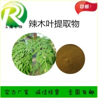 辣木叶速溶粉 辣木叶生粉现货新资源食品原料