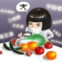 榨菜中亚硝酸盐含量快速检测仪