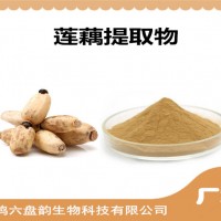 莲藕提取物 莲藕粉 食品原料