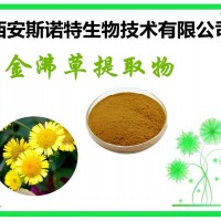 金沸草提取物 金沸草原料提取物 提取物