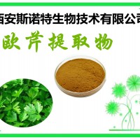 欧芹提取物 欧芹黄酮 比例提取 可试样