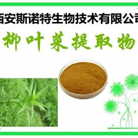 柳叶菜提取物 水丁香粉 柳叶菜粉 厂家现货