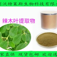 辣木叶提取物 辣木叶粉 辣木籽提取物