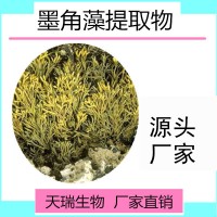 天瑞生物现货供应墨角藻提取物 墨角藻粉