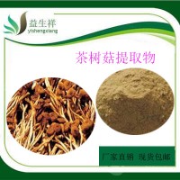 茶树菇提取物 10:1 益生祥  茶树菇粉