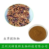 发酵虫草菌丝粉 蛾拟青霉菌粉发酵虫草菌粉cs-4