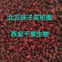 五味子浸膏粉 厂家生产提取物定做五味子浓缩浸膏