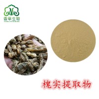 槐实提取物10:1 槐角提取物槐角粉  槐花提取物