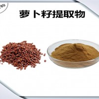 萝卜籽提取物 萝卜籽粉 药食同源原料