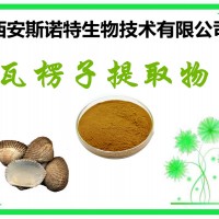 斯诺特现货 瓦楞子提取物 20:1 比例提取物