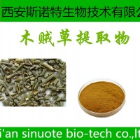 木贼草提取物 木贼草粉 斯诺特生物 包邮