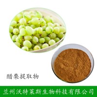 西印度醋栗提取物 西印度醋栗粉 醋栗提取液