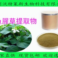 鱼腥草粉99% 鱼腥草提取物  现货包邮