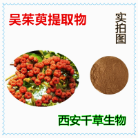吴茱萸提取物易溶 厂家生产植物提取物供应浓缩浸膏
