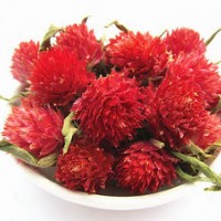 红巧梅提取物 厂家按需定制天然浓缩粉 定做浸膏