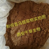 制首乌浓缩粉厂家供应定制植物浓缩纯浸膏