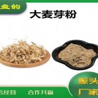 大麦芽速溶粉 大麦芽粉 厂家发货