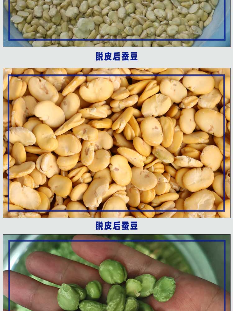 蚕豆脱皮机_05