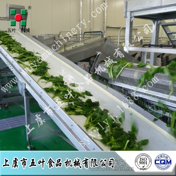 青菜生产线7