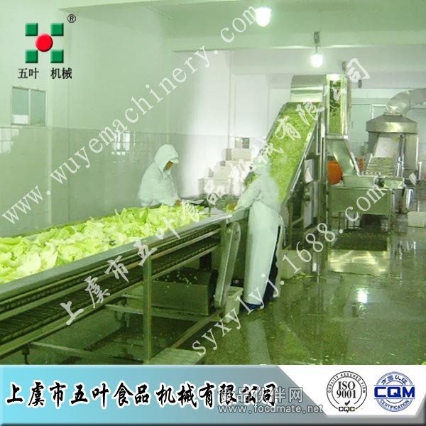 青菜生产线2