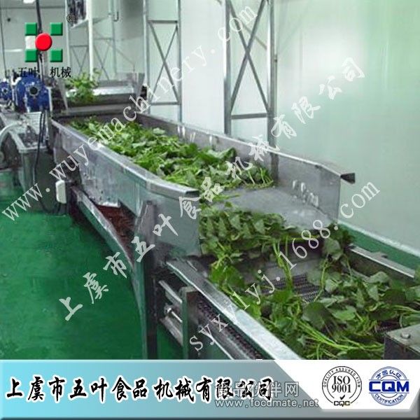 青菜生产线4