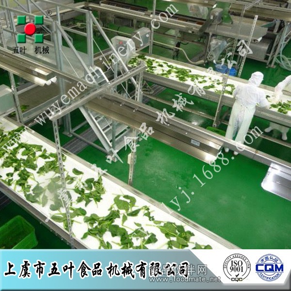 青菜生产线8