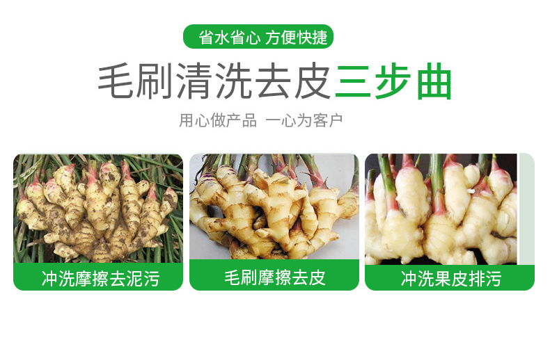 毛辊清洗去皮机 (5)