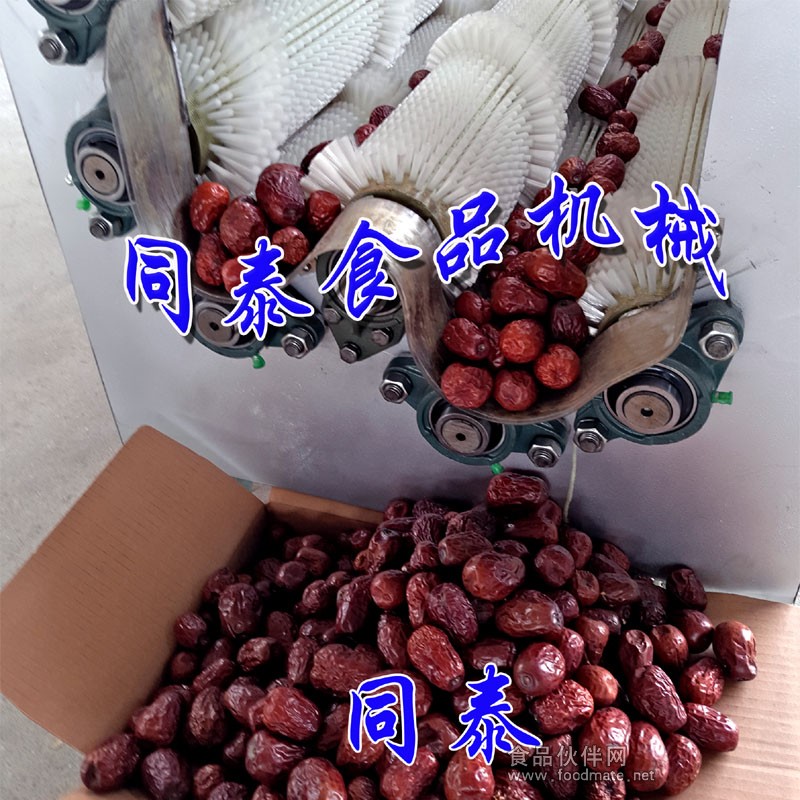 红枣清洗机