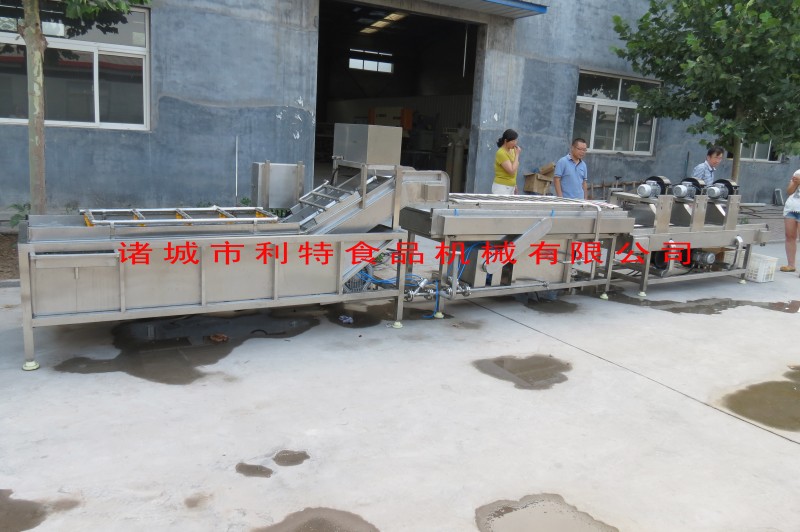 大枣清洗风干线 (4)