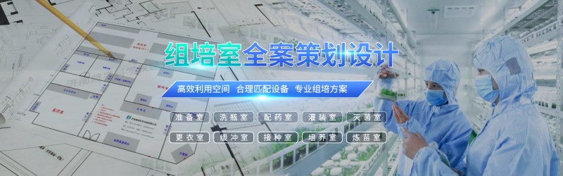 广告条1