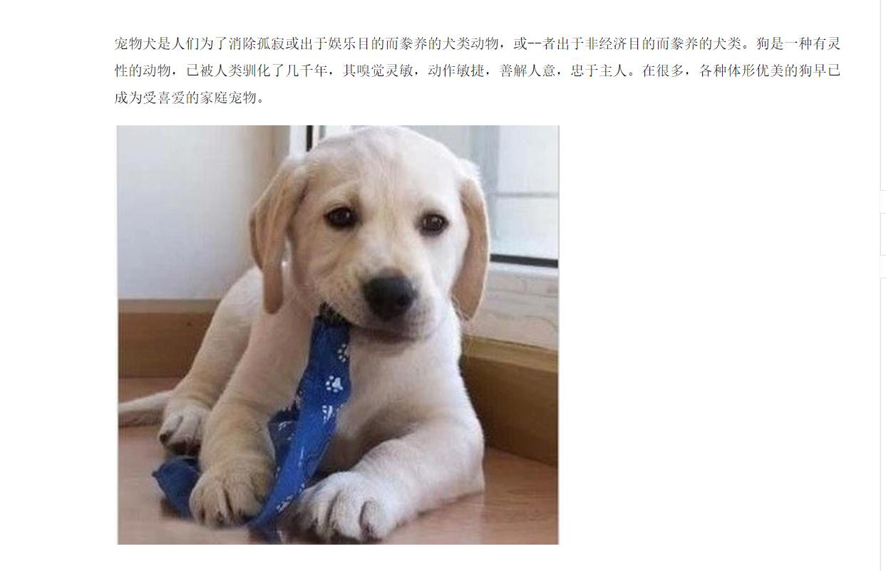 全自动饲料加工膨化机