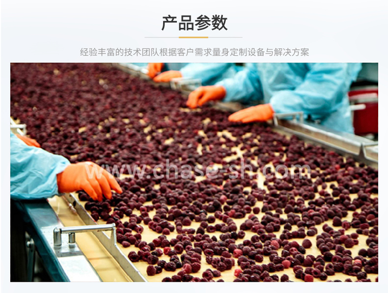 果汁生产线