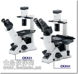 CKX41倒置显微镜