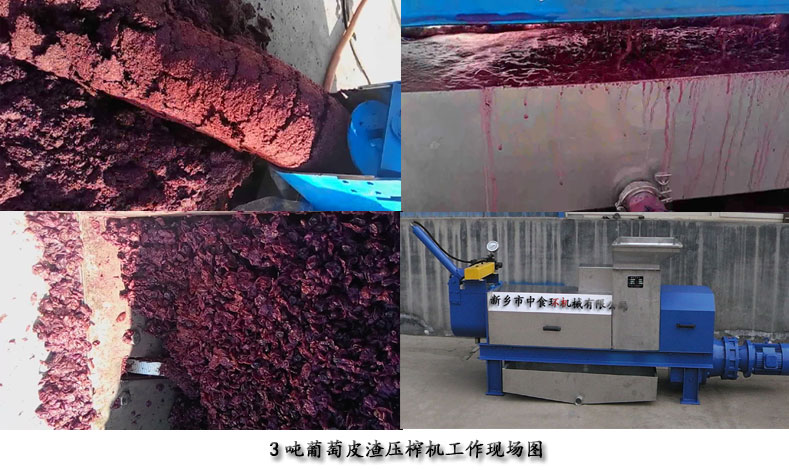 葡萄皮渣压榨机工作图