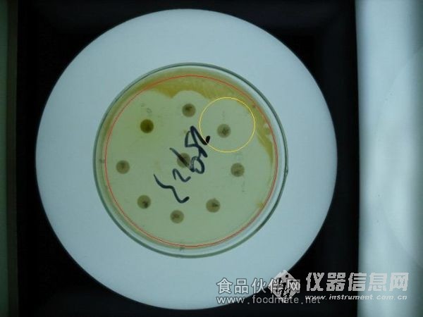 类圆形.jpg