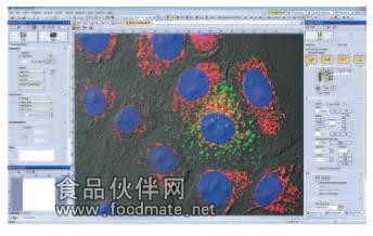 IX3 cellSens成像软件