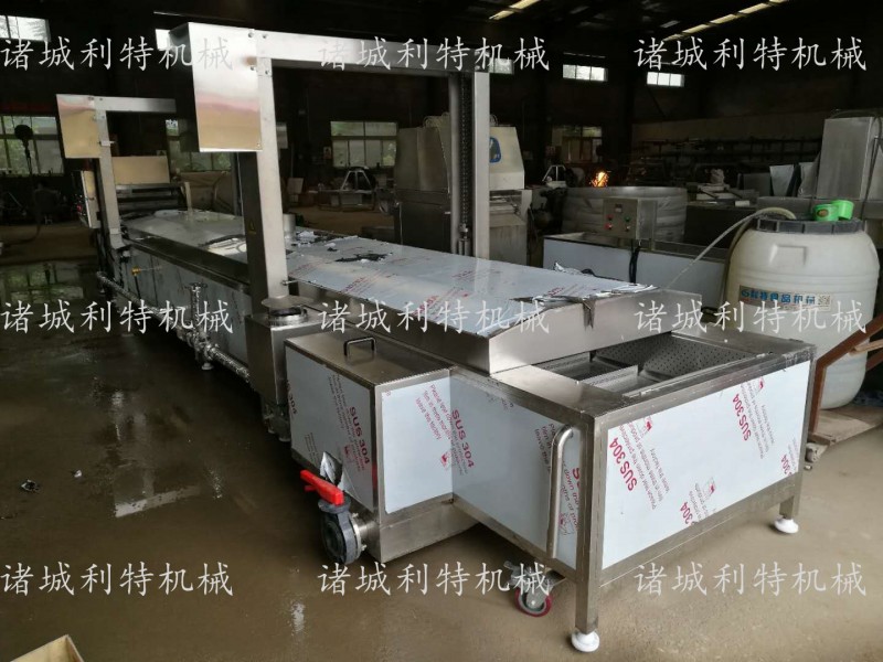 带提升漂烫机11pg