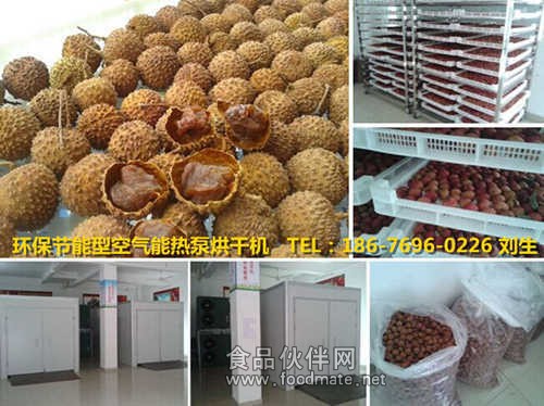 荔枝龙眼烘干机_副本