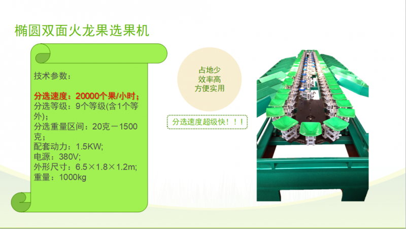 火龙果选果机12