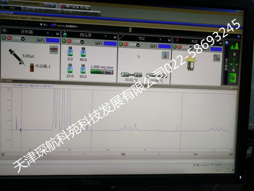 190426图片4黄曲霉