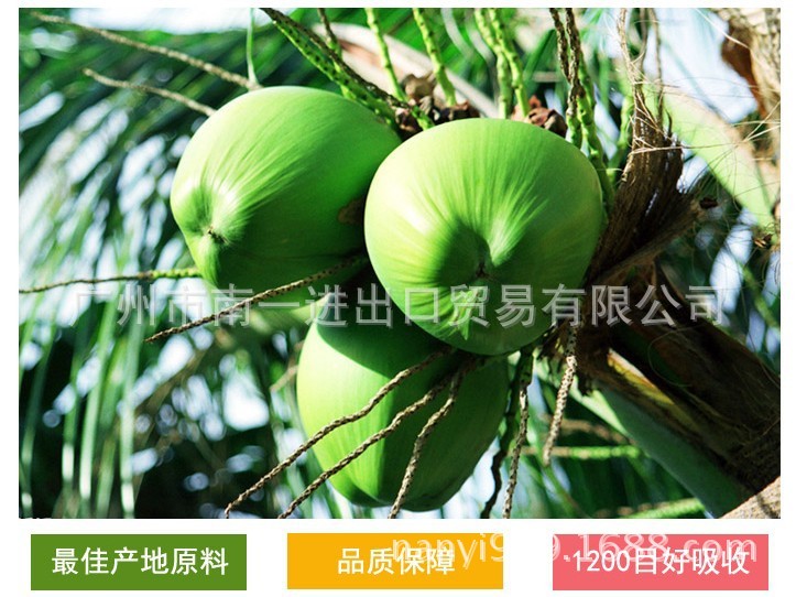 选择理由1