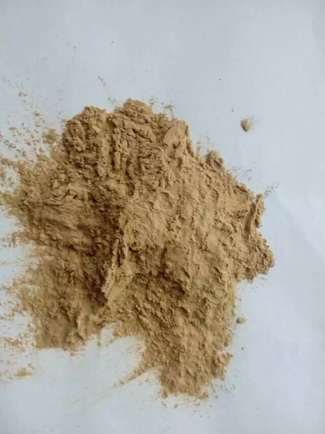铁皮石斛提取物