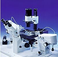 Leica  DMIL LED倒置实验室显微镜