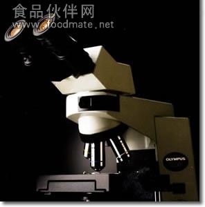 CX41显微镜