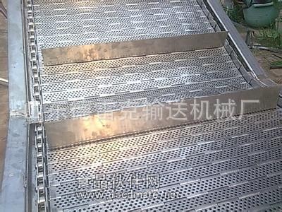 清洗蔬菜水果的不锈钢链板