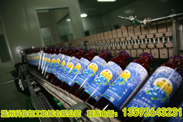 蓝莓汁饮料生产线设备 