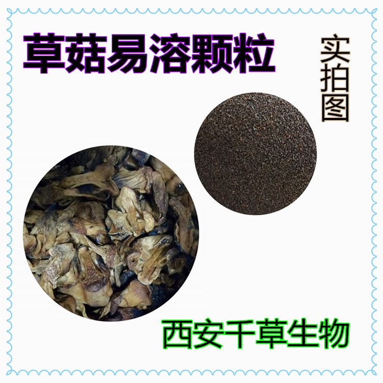 草菇易溶颗粒